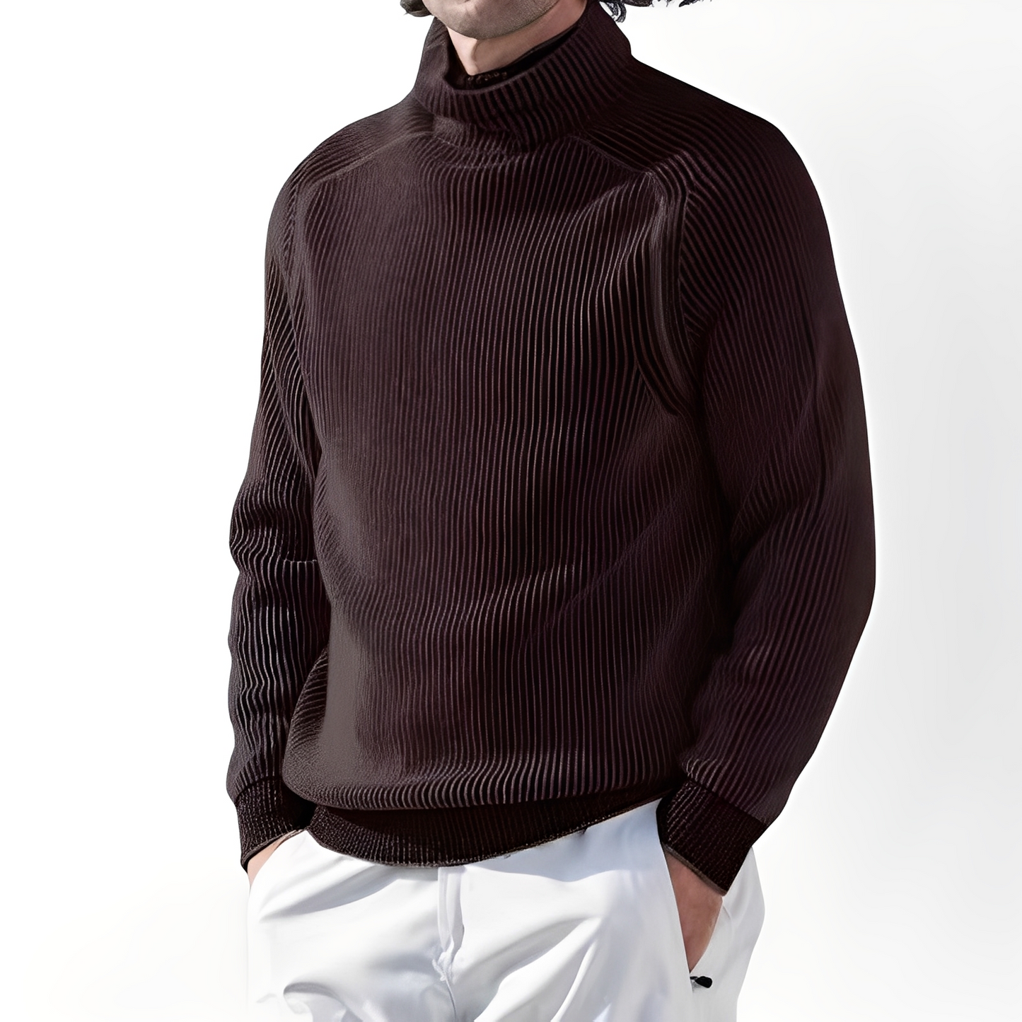 Jarrett - Herrenpullover aus Kaschmir mit hohem Kragen
